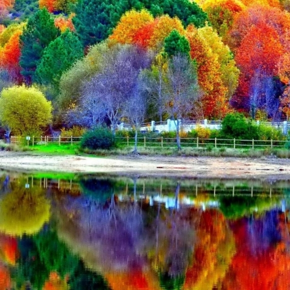 Meet your Posher, Laurie - Picture 10 of 11